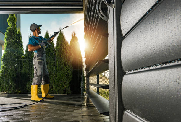 Best Affordable Power Washing  in Chesaning, MI