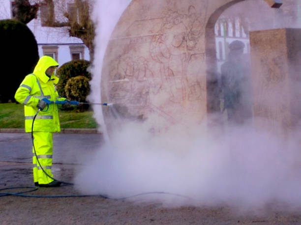 Best Sidewalk Pressure Washing  in Chesaning, MI