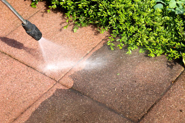 Best Pressure Washing Patio  in Chesaning, MI